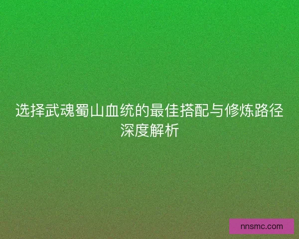 选择武魂蜀山血统的最佳搭配与修炼路径深度解析