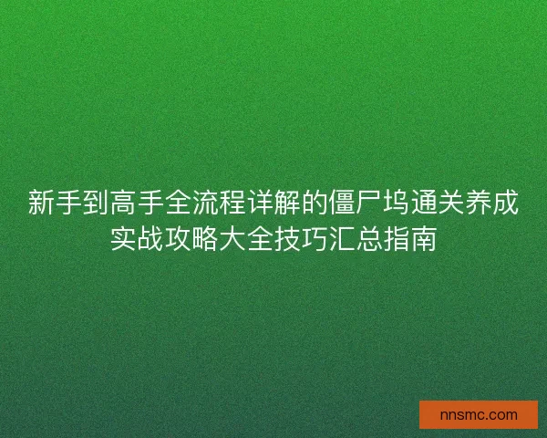 新手到高手全流程详解的僵尸坞通关养成实战攻略大全技巧汇总指南