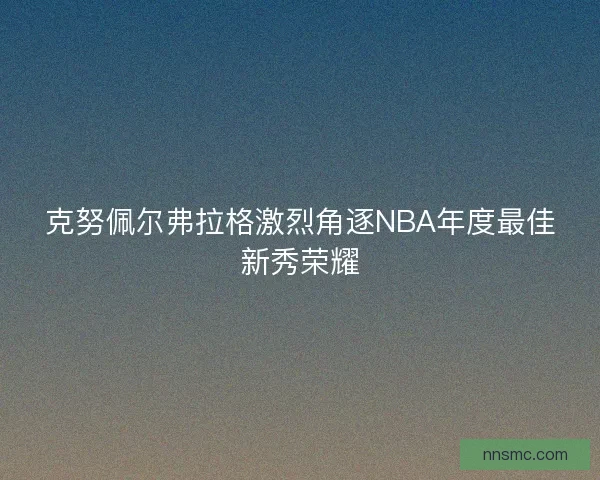 克努佩尔弗拉格激烈角逐NBA年度最佳新秀荣耀
