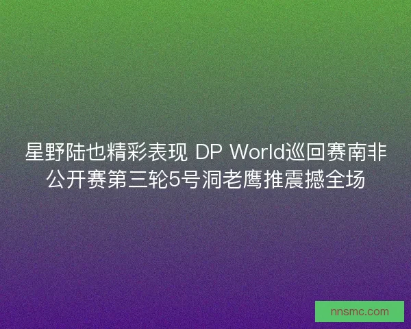 星野陆也精彩表现 DP World巡回赛南非公开赛第三轮5号洞老鹰推震撼全场