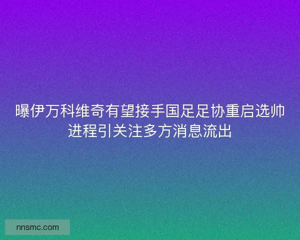 曝伊万科维奇有望接手国足足协重启选帅进程引关注多方消息流出